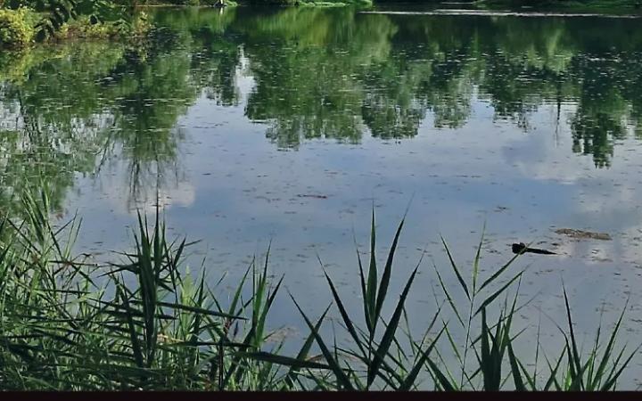 La storia delle fornaci rivive a Noale