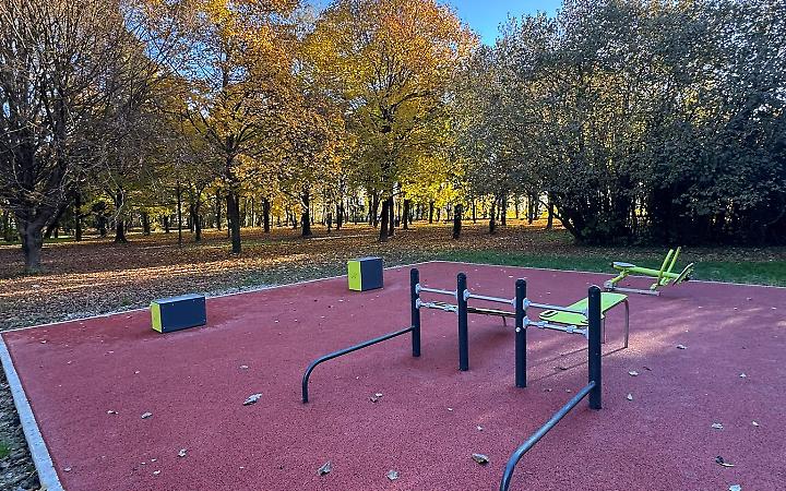 PIOVE DI SACCO bosco di pianura