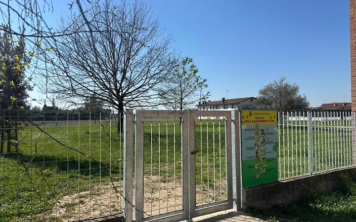 PSN area cani piazzale spinelli