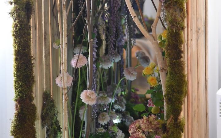 Noale in Fiore, trionfa la creativit&agrave; di Bortolozzo