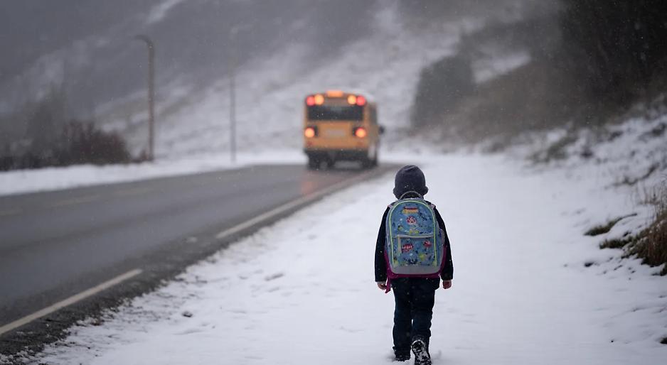 Foto di repertorio generata con IA