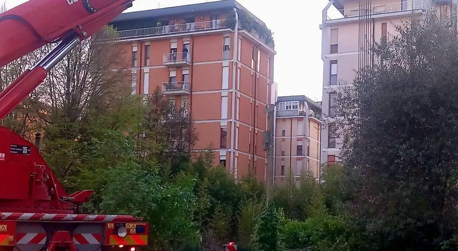Tragedia a Treviso, albero crolla sul canale: muore 38enne
