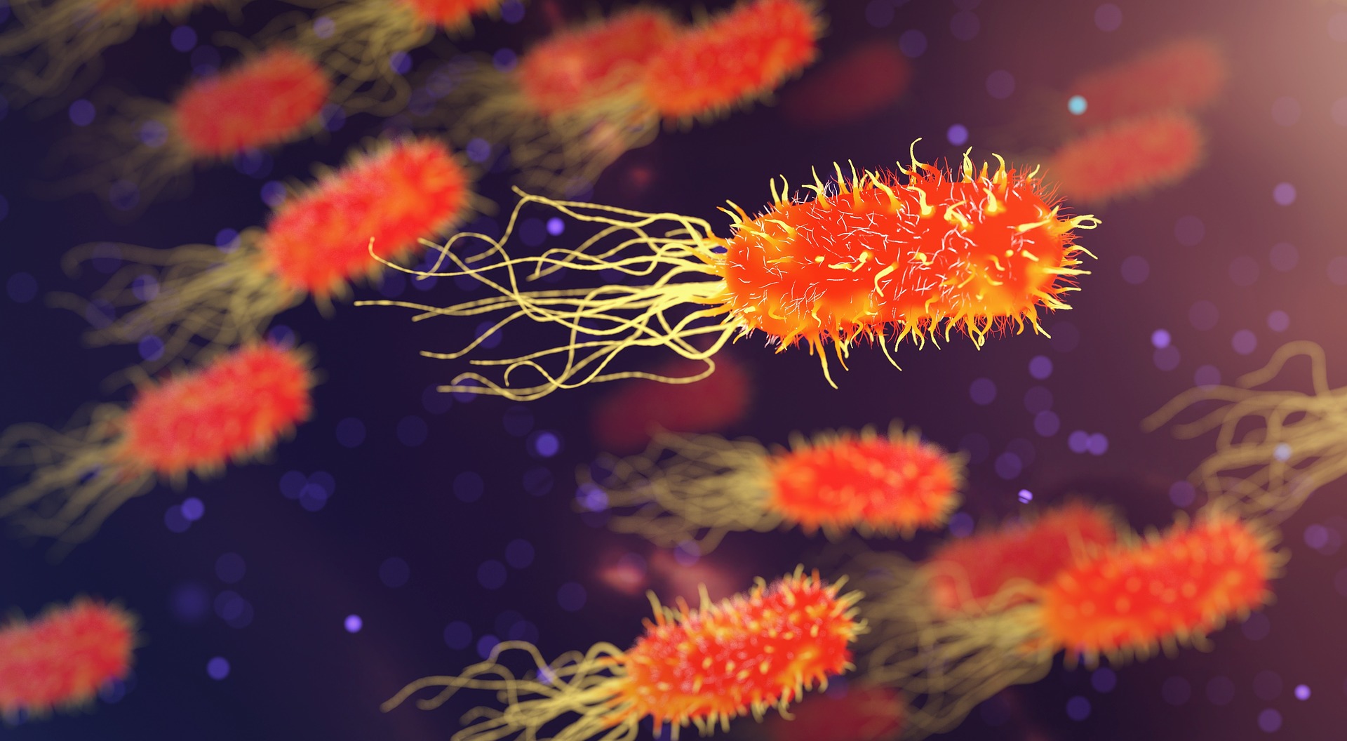 coronavirus