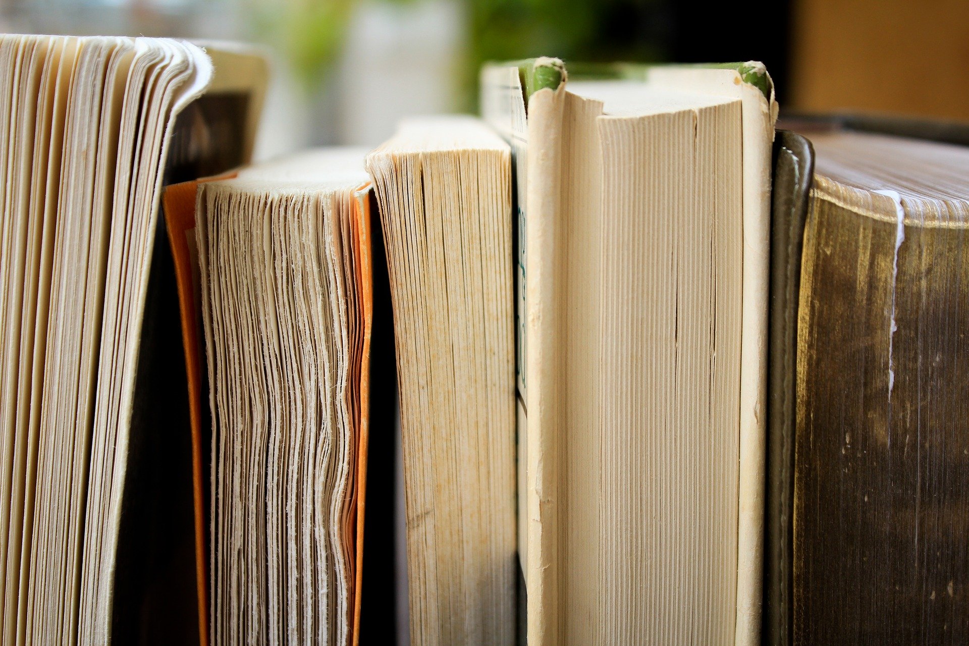 Negozio di libri usati