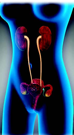 Urologia
