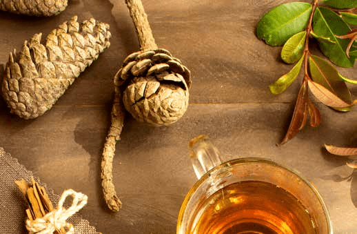 Tisane erbe e chiodi di garofano