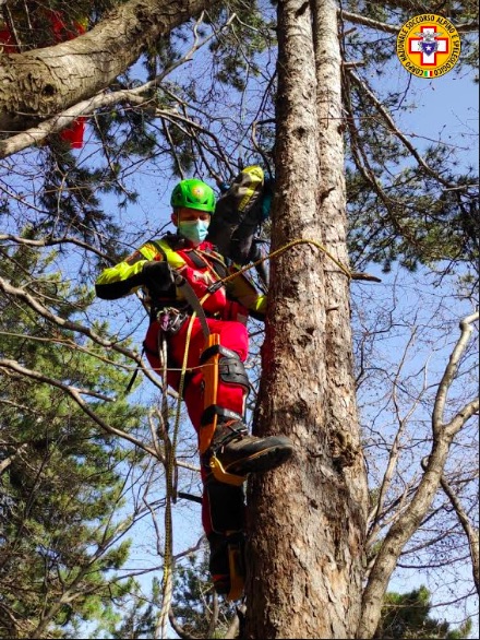 tree clinbing per salvare pilota di parapendio sul Grappa