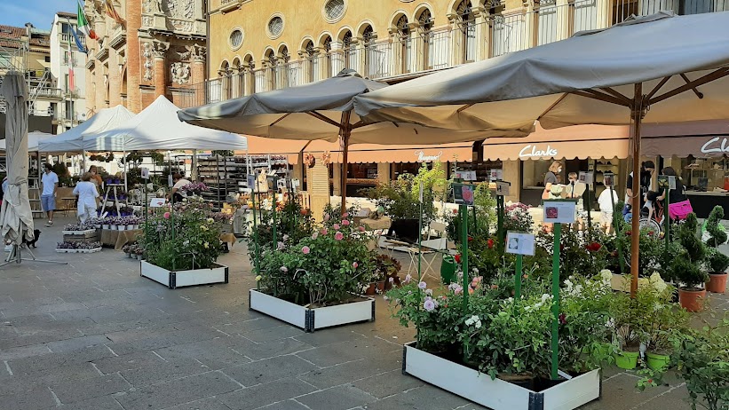 fiori e colori in piazza a Vicenza