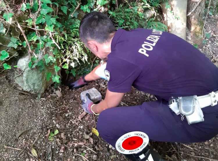 agente polizia locale thiene nordest vicentino
