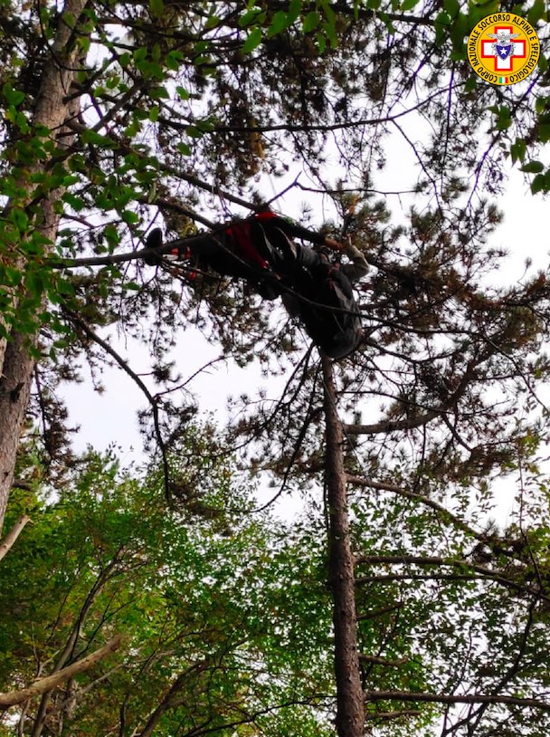 pilota appesa agli alberi