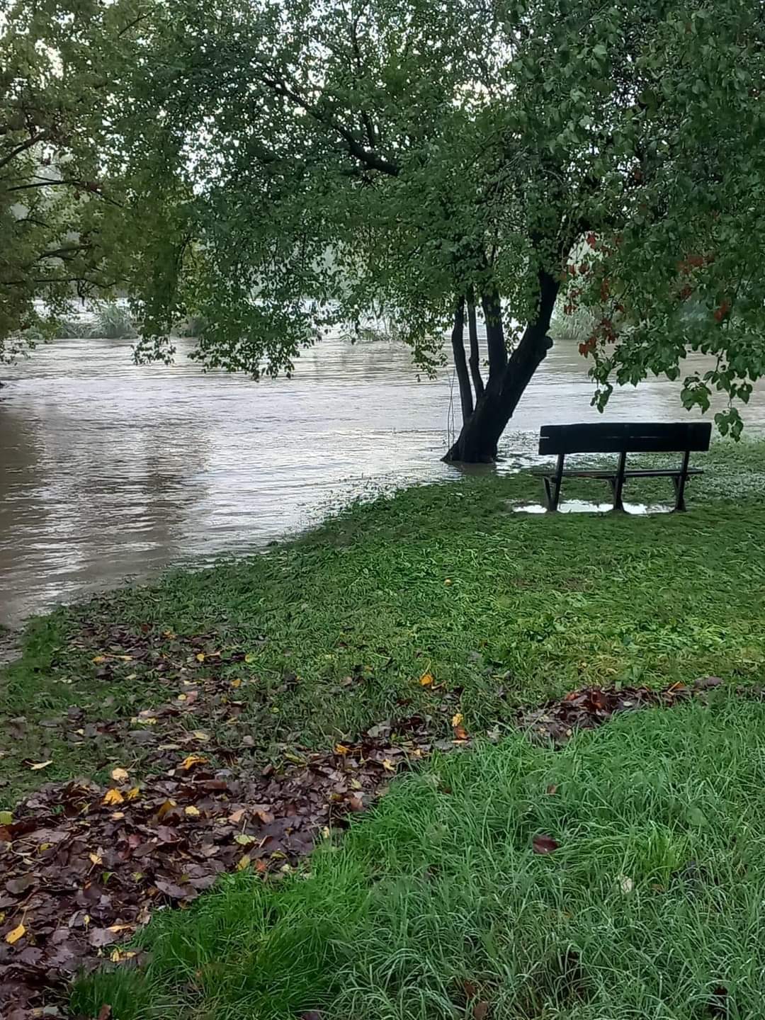 La piena del Reno nei pressi di Bologna (foto dai social del comune)