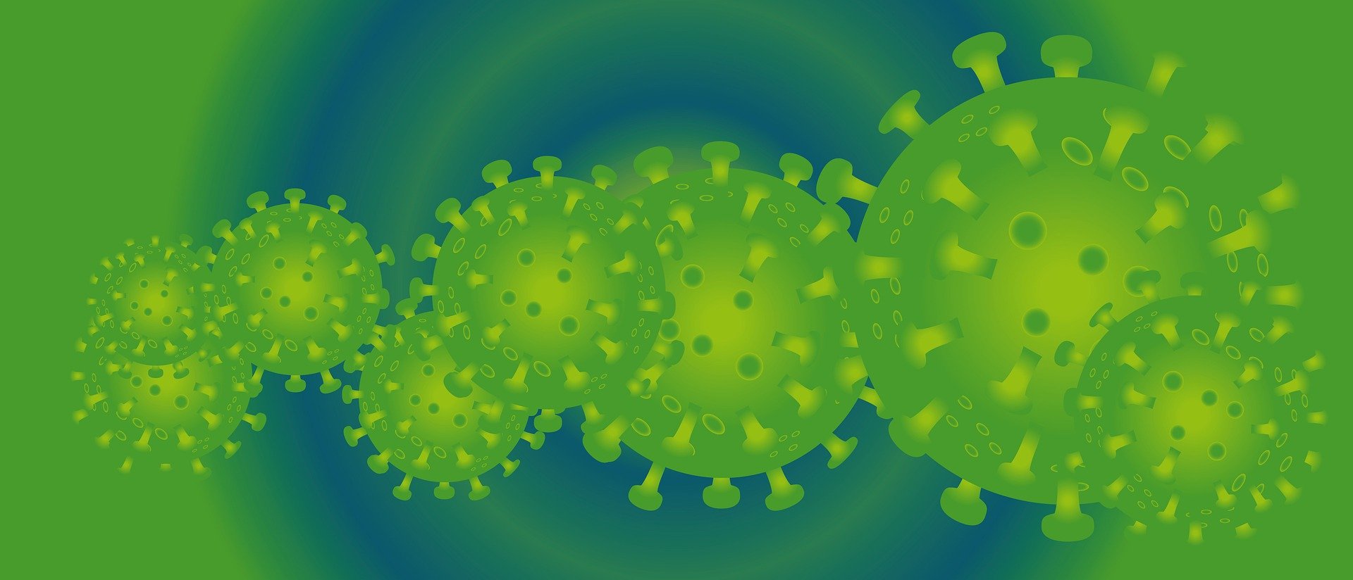 coronavirus basso polesine