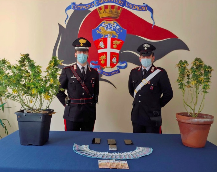 Carabinieri di Valdagno e cannabis in vaso